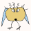 paul Avatar