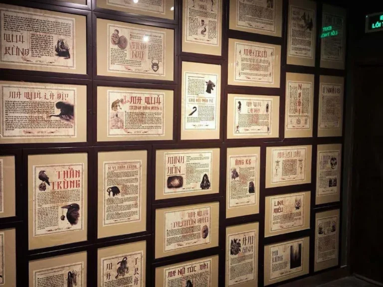 unnamed 30 1 768x576